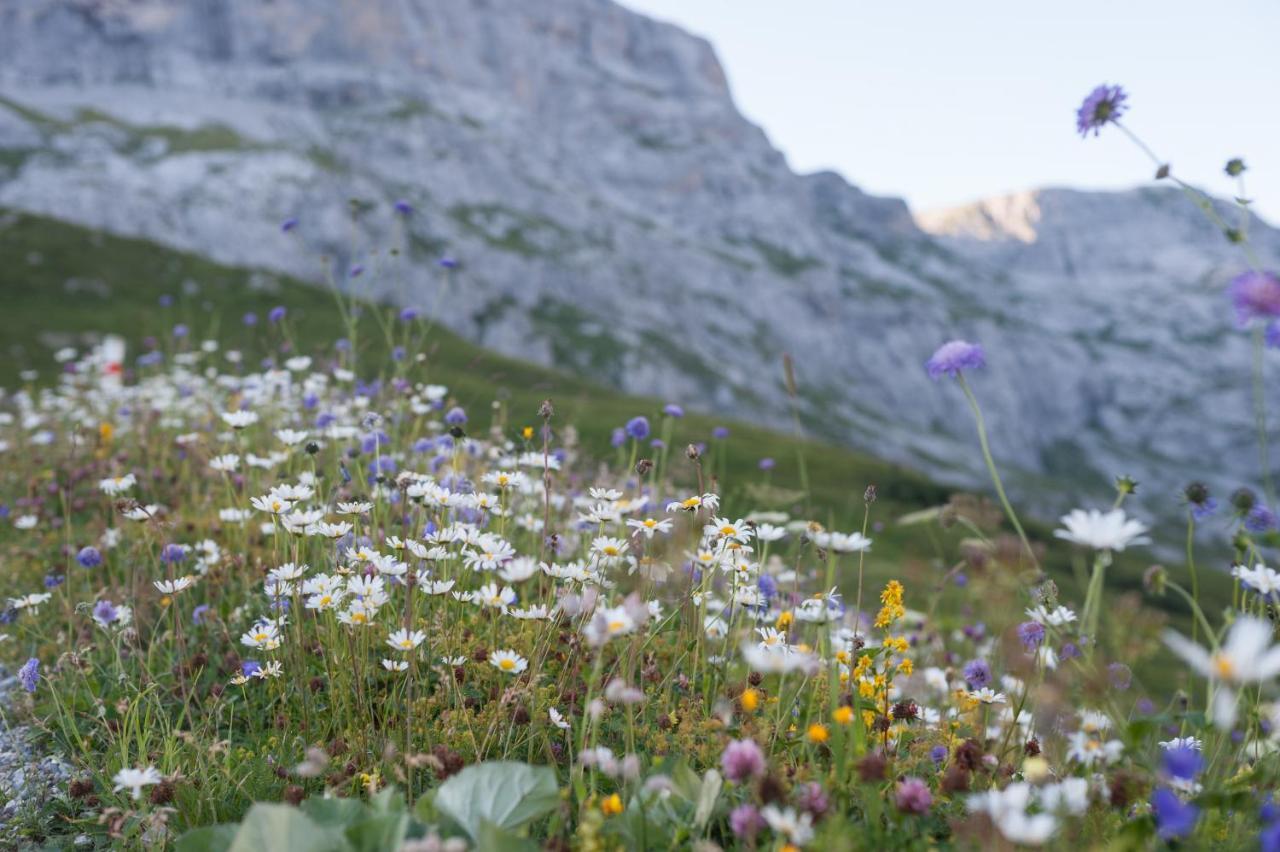 Berghaus Sulzfluh Hotel Sankt Antönien Buitenkant foto